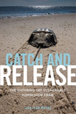 Bertrand.pt - Catch And Release