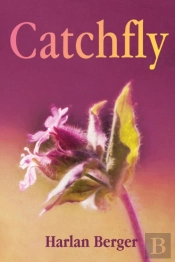 Catchfly