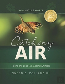 Bertrand.pt - Catching Air