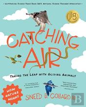 Catching Air