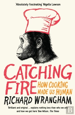 Bertrand.pt - Catching Fire