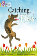 Catching Flies