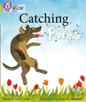 Catching Flies