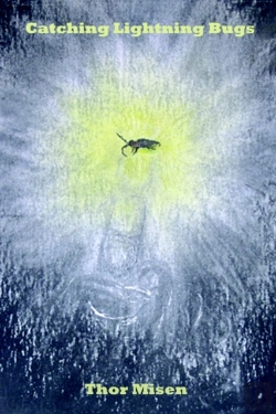 Bertrand.pt - Catching Lightning Bugs
