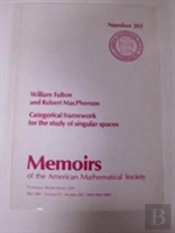 Categorical Framework For The Study Of Singular Spaces