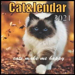 Bertrand.pt - Cat&Lendar 2021 Cats Make Me Happy