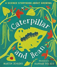 Caterpillar And Bean