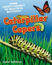 Caterpillar Capers