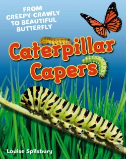 Bertrand.pt - Caterpillar Capers