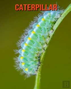 Bertrand.pt - Caterpillar