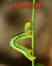 Caterpillar