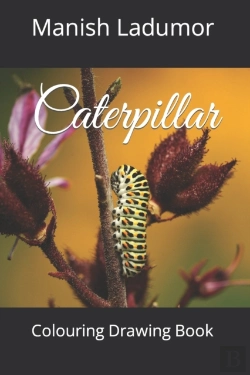 Bertrand.pt - Caterpillar