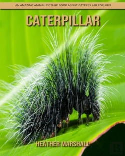 Bertrand.pt - Caterpillar