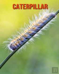 Bertrand.pt - Caterpillar