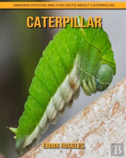 Bertrand.pt - Caterpillar