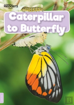 Bertrand.pt - Caterpillar To Butterfly