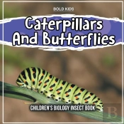 Caterpillars And Butterflies