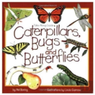Caterpillars, Bugs And Butterflies