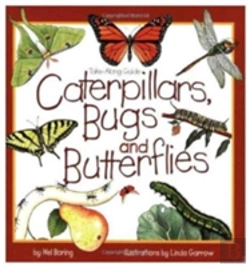 Bertrand.pt - Caterpillars, Bugs And Butterflies