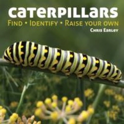 Bertrand.pt - Caterpillars