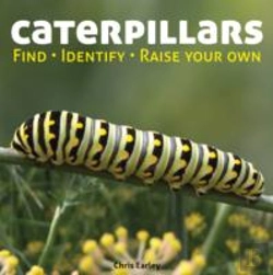 Bertrand.pt - Caterpillars