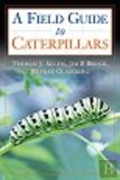 Caterpillars In The Field And Garden