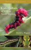 Caterpillars Of Eastern North America