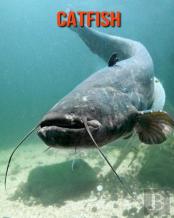 Catfish
