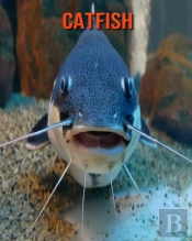 Catfish