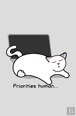 Bertrand.pt - Catlover'S Notebook - Blank Lined Pages - Priorities Human