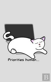 Catlover'S Notebook - Blank Lined Pages - Priorities Human