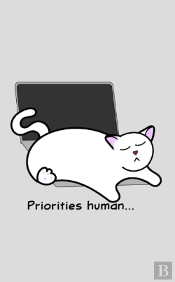 Bertrand.pt - Catlover'S Notebook - Blank Lined Pages - Priorities Human