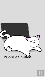 Catlover'S Notebook - Blank Lined Pages - Priorities Human