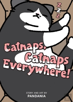 Bertrand.pt - Catnaps, Catnaps Everywhere!