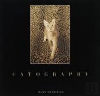 Catography