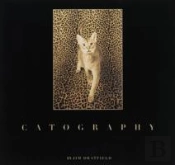 Catography