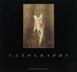 Bertrand.pt - Catography