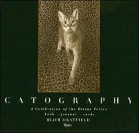 Catography