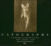 Catography