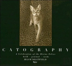 Bertrand.pt - Catography