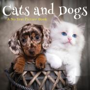 Cats And Dogs, A No Text Picture Book