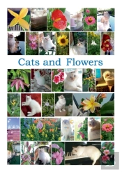 Cats And Flowers
