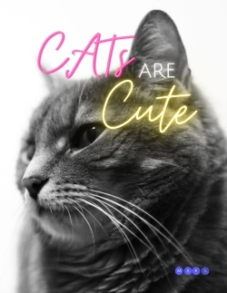 Bertrand.pt - Cats Are Cute