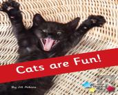 Cats Are Fun!