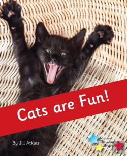 Bertrand.pt - Cats Are Fun!