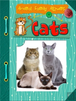 Bertrand.pt - Cats