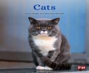 Cats