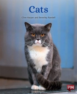 Bertrand.pt - Cats