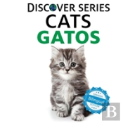 Cats / Gatos
