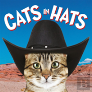 Cats In Hats